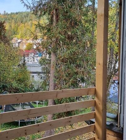 Sm3 Apartment Триберг Экстерьер фото